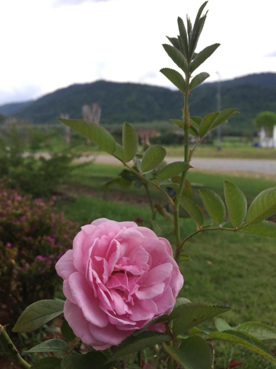 Samerdrow Khao Yai Mu Si Buitenkant foto